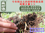 rxĲ շb 0.8/r(ji)80Ԫ/