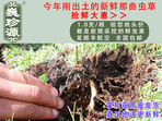 rxĲ շb 1/r(ji)100Ԫ/